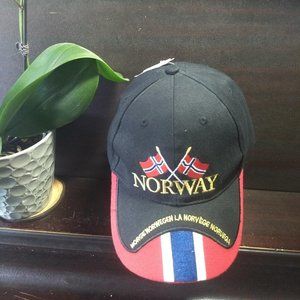 Norway baseball cap NWT 🎈HOST PICK🎈